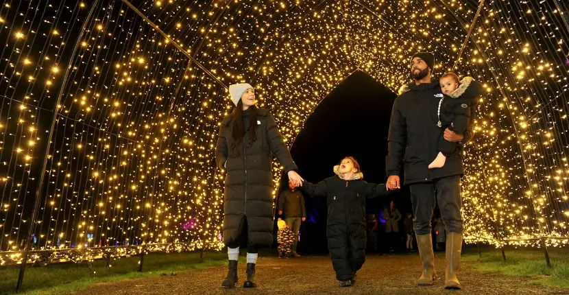 Christmas Light Installation