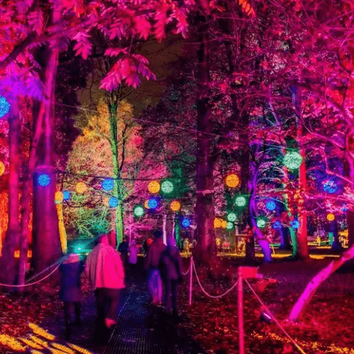 Christmas Lights Installation